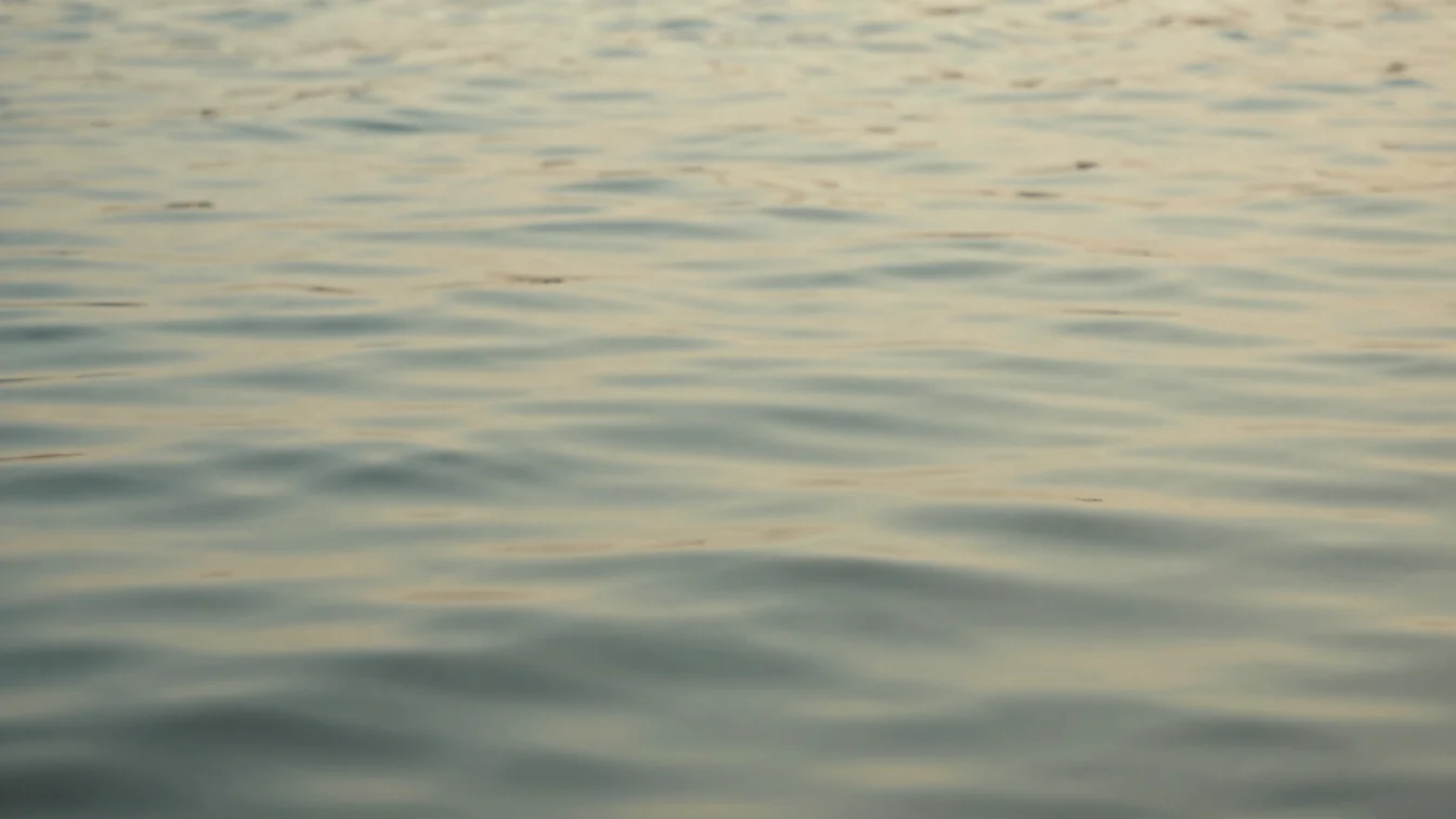 a gentle ripple on a still water surface reflecting soft diffused